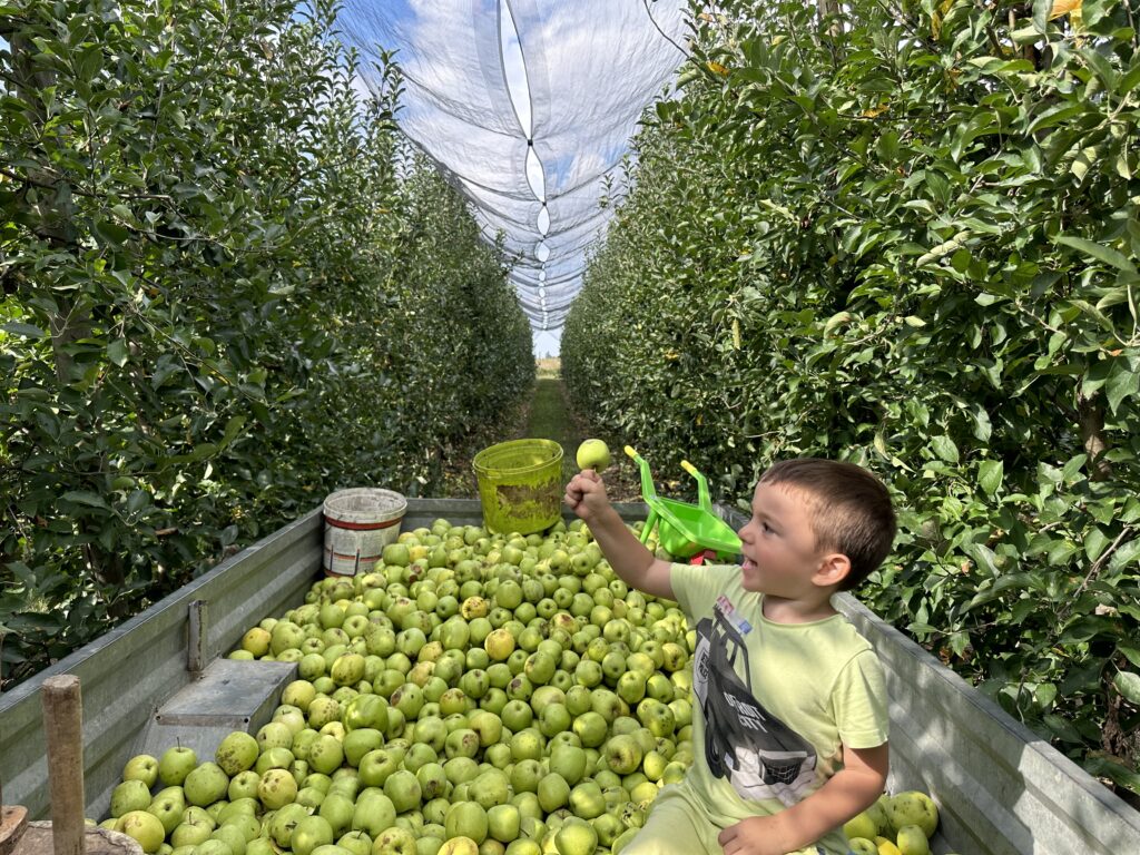 rakija od jabuke destilerija kum